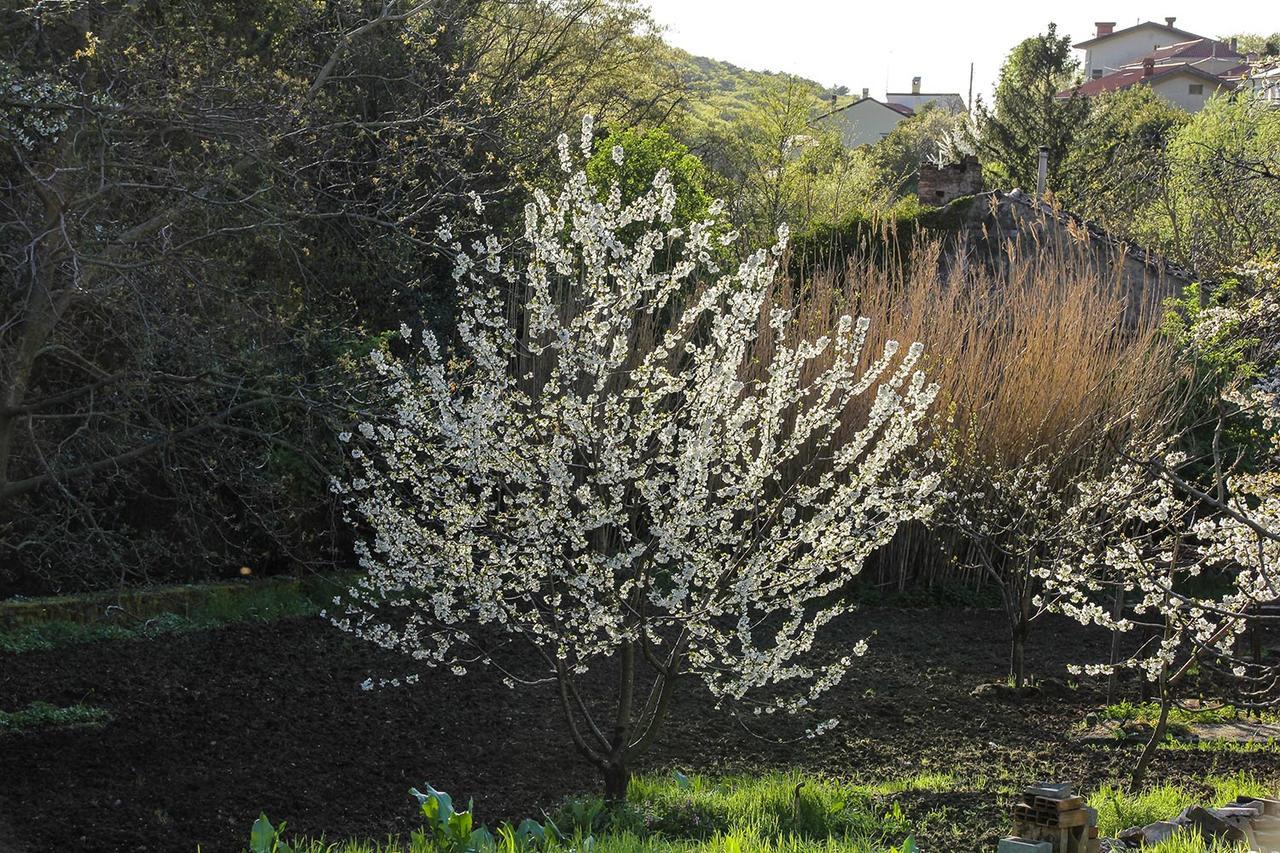 Longera Rio Farneto B&B מראה חיצוני תמונה